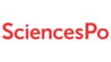 university2 SciencesPo
